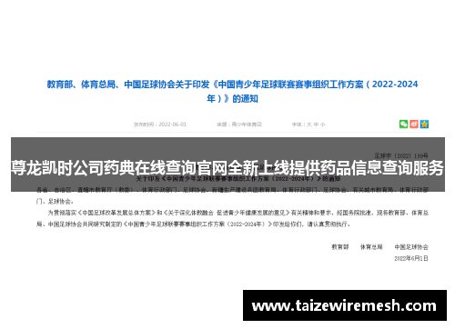 尊龙凯时公司药典在线查询官网全新上线提供药品信息查询服务