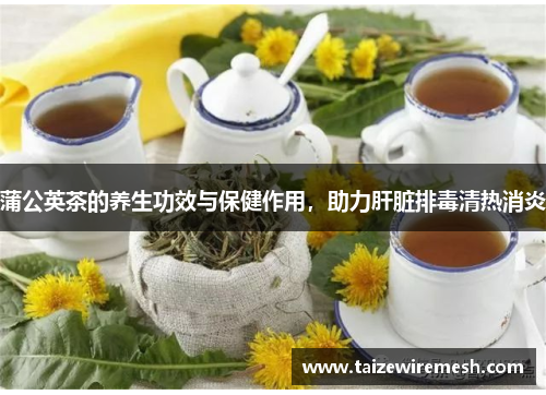 蒲公英茶的养生功效与保健作用，助力肝脏排毒清热消炎