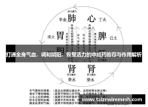 打通全身气血,调和阴阳,恢复活力的中成药推荐与作用解析 打通全身气血,调和阴阳,恢复活力的中成药推荐与作用解析