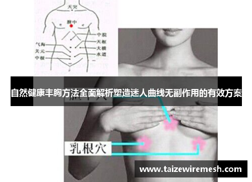 自然健康丰胸方法全面解析塑造迷人曲线无副作用的有效方案 自然健康丰胸方法全面解析塑造迷人曲线无副作用的有效方案
