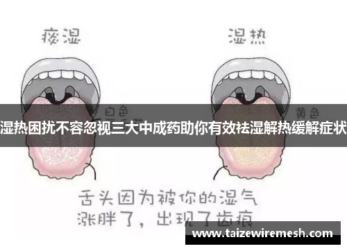 湿热困扰不容忽视三大中成药助你有效祛湿解热缓解症状 湿热困扰不容忽视三大中成药助你有效祛湿解热缓解症状