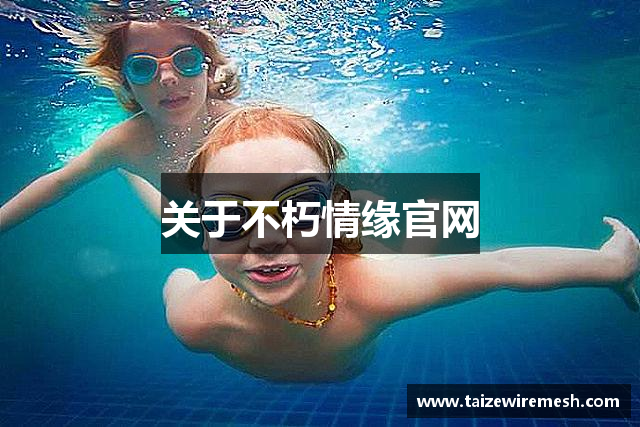 关于不朽情缘官网